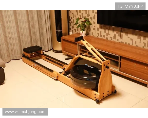 VR划船器结合实景模拟,居家锻炼也能体验自然风光